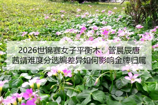 shi-jin-sai-nv-zi-ping-heng-mu-guan-chen-chen-tang-qian-jing-nan-du-fen-xuan-bian-cha-yi-ru-he-ying-xiang-jin-pai-gui-2-794.jpg